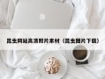 辽阳昆虫网站高清照片素材（昆虫图片下载）